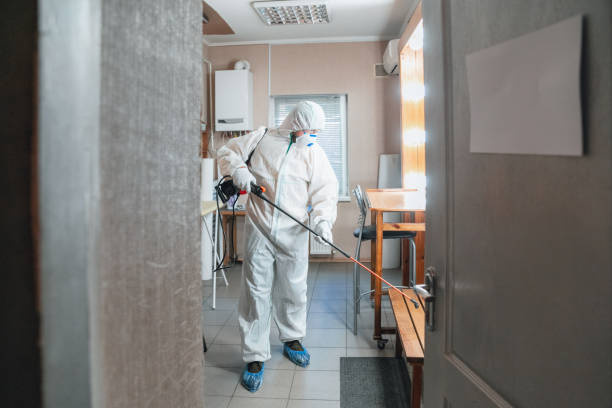 Best HVAC Mold Inspection and Cleaning  in Las Maravillas, NM